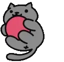 cat_playing