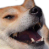 kek Discord sticker from Interact | Active Chats • VC • Hangout • Chill • Friends • Giveaways • Events • SFW • Non Dating