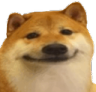 dogeHaHa Discord sticker from Interact | Active Chats • VC • Hangout • Chill • Friends • Giveaways • Events • SFW • Non Dating