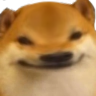 dogehead Discord Emoji - Interact | Active Chats • VC • Hangout • Chill • Friends • Giveaways • Events • SFW • Non Dating