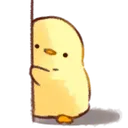 chikku_nc