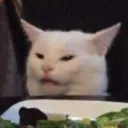 tablecat