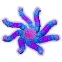 octobloom
