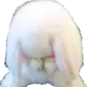 edgy_bunbun