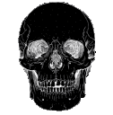 anskull animated GIF emoji - /Lightx | Social • Chat • VC • Emotes • Chill • Fun • Active