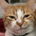 smirk