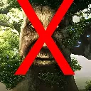 not_wise
