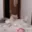 catdan