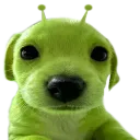 glerp