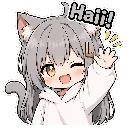 <:haii:1500920776428093530>