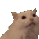 aaaaaa animated Discord emote - CHİLLBAYCAN #SUMMERISCALLING