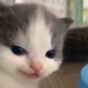 heehee