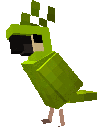 Parrot_Dance