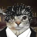 workingkitty