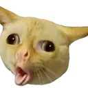 kittyyuck