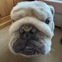 hey