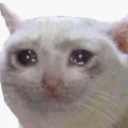 Capture custom emote | Pterocos chat  ☕