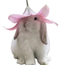 14909cutebunnylilyhat