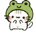 431437jamfroggykitty
