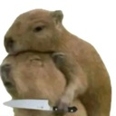 capithreatens