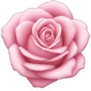pinkrose