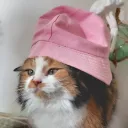 bobbynwearsabob