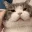 catCuddle2