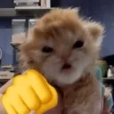 CatAngryFist