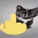 CatFuckYou