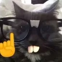 nerdcat