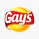gayslayslego
