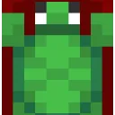 989557turtlecape