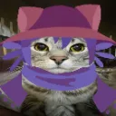 one_shot_cat