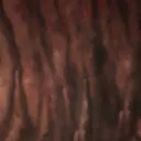 jabba_large_4