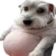 lv99ajChud