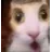 catOH