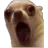 dogWAA