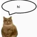 cathi