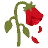 Wilted_rose