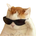 :coolcat: