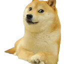 doge