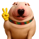 doggo