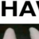 shaw2