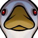 goose_mega_stare