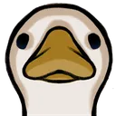 goose_stare