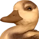 DuckGrin