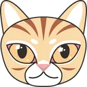kitty