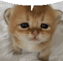 globo Discord Emoji | CobbleTech: Dungeon Trials