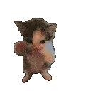 scubba