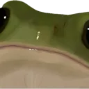 fwog